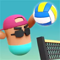 Volley Boys Game